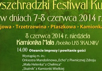 4.06.2014 Festiwal Kultur