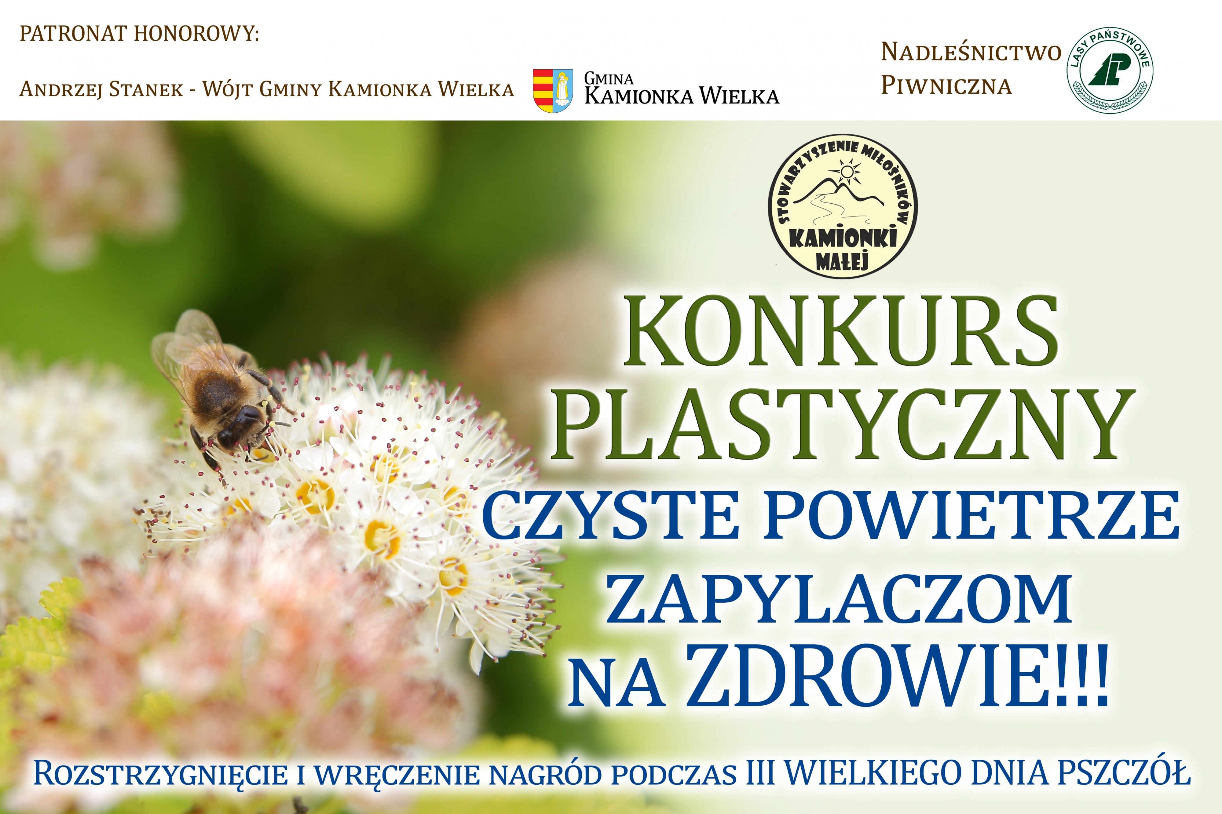 CZYSTE POWIETRZE ZAPYLACZOM NA ZDROWIE !